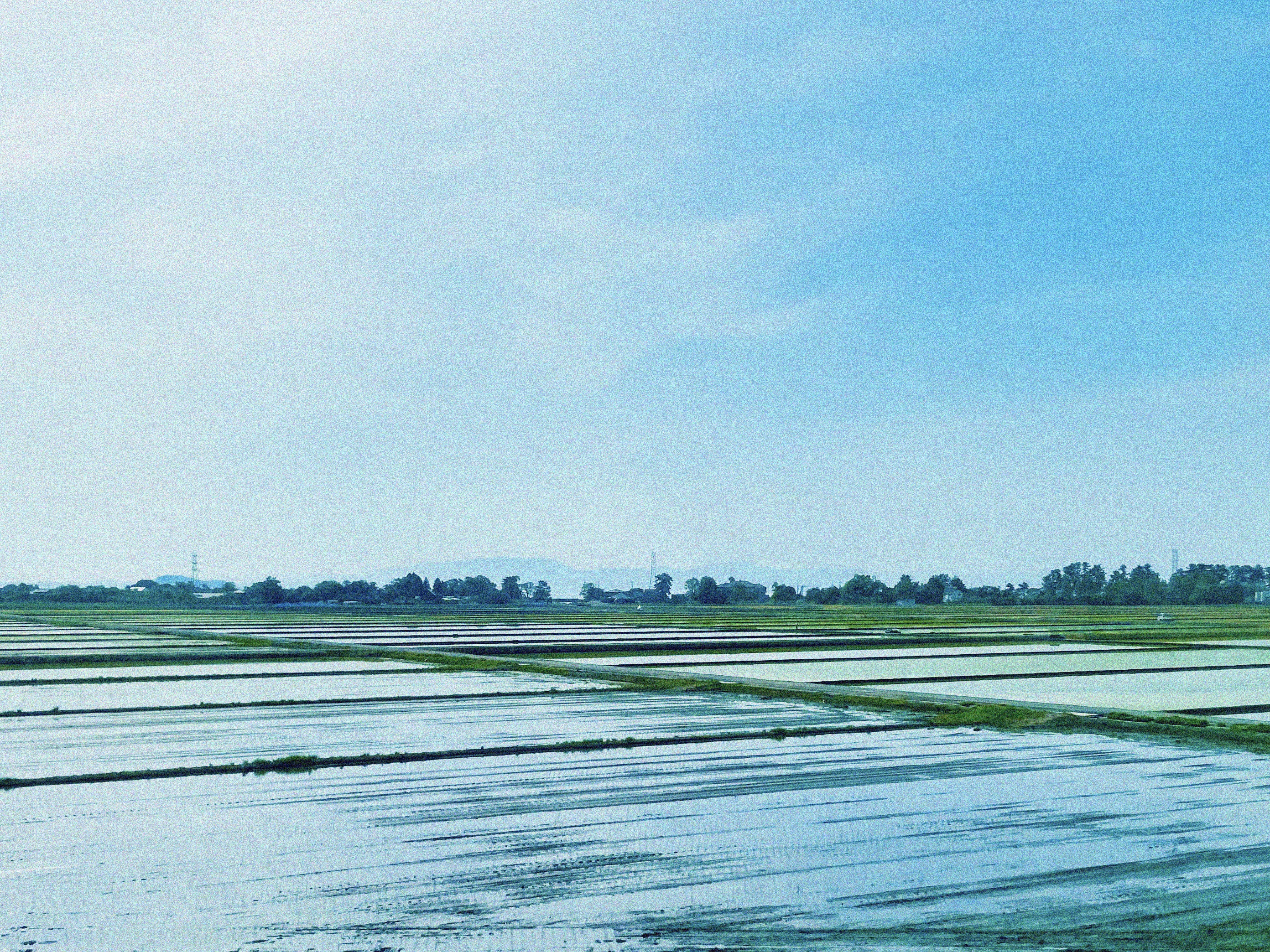 田園風景