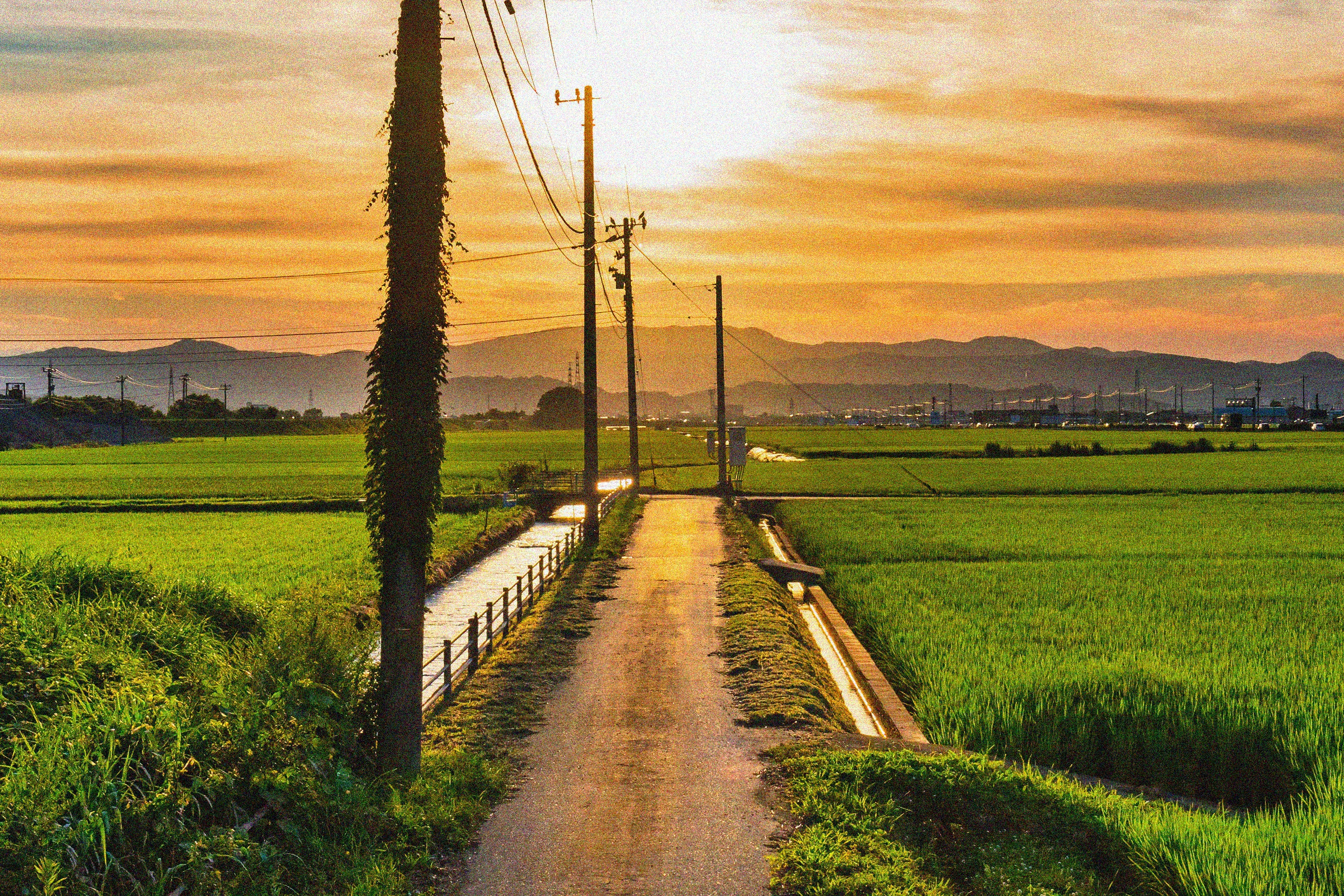 田園と夕暮れの風景