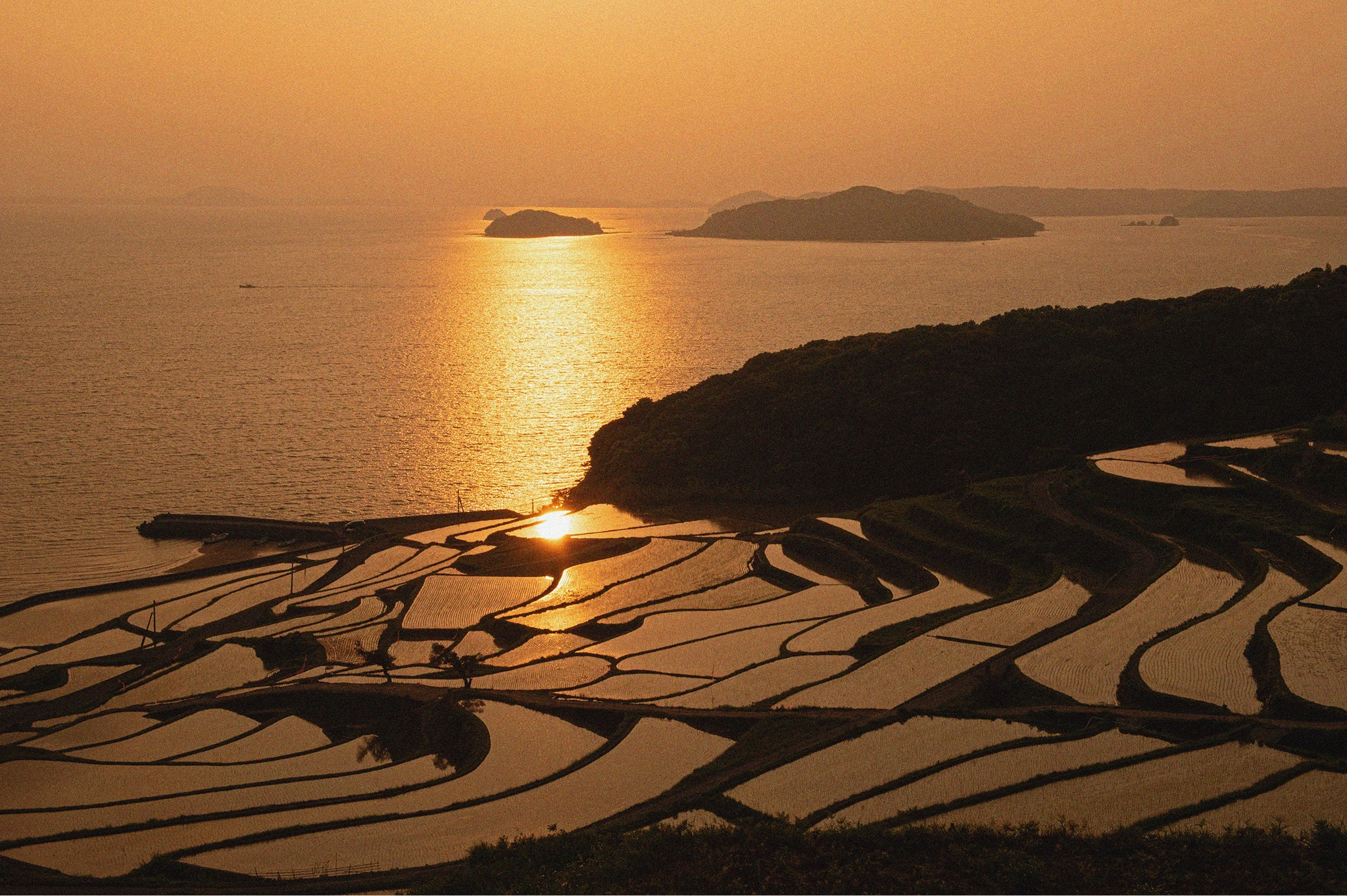田園風景